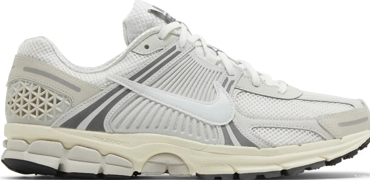 Platinum Tint Vomero Zoom 5 Nike 0602
